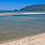 Wainui Beach