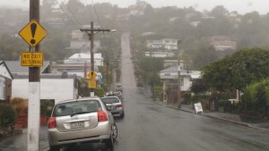 Baldwin street Dunedin