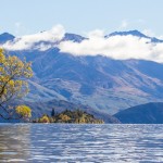 Wanaka Lake et le fameux arbre qui pousse dans l'eau