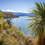 Wanaka Lake