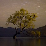 Wanaka by night