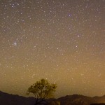 Wanaka by night