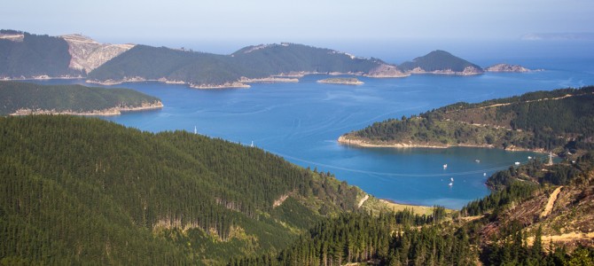 Queen Charlotte View - Snout Track