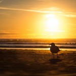 Plage de Westport