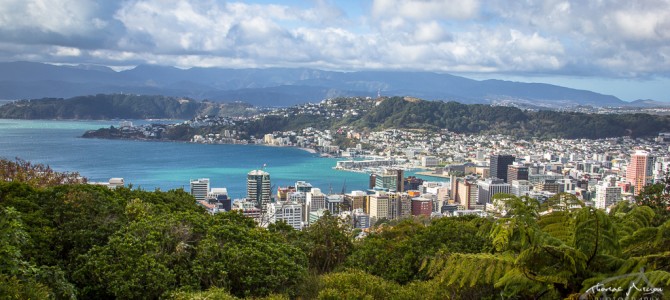 Lookout Wellington