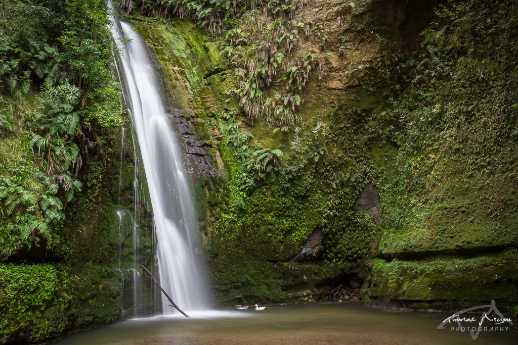 Tangaio Falls