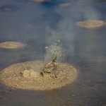 Mud Pools Wai-o-Tapu Rotorua