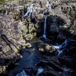 McLaren Park Fall