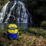 Owharoa Falls - Coromandel