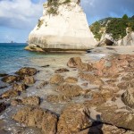 Cathedral Cove - Coromandel