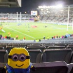 Bob au match de rugby - Blues vs Crusaders