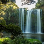 Whangarei Falls