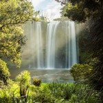 Whangarei Falls