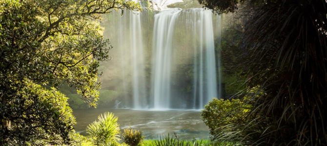 Whangarei Falls