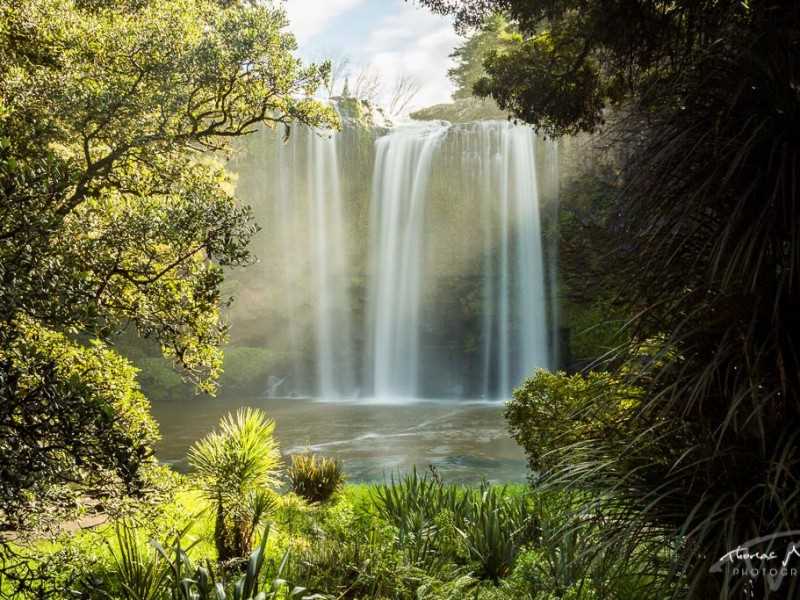 Whangarei Falls