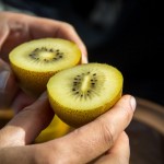 Kiwi jaune de Nouvelle-Zélande