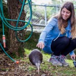 Native Bird Recovery Centre : Kiwi Sparky