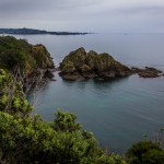 Lookout Whale Bay