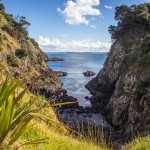 Moturua Island à la Bay of Islands