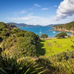 Moturua Island à la Bay of Islands