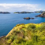 Moturua Island à la Bay of Islands