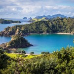 Moturua Island à la Bay of Islands