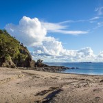 Moturua Island à la Bay of Islands