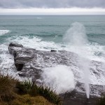 Muriwai Beach - Northland