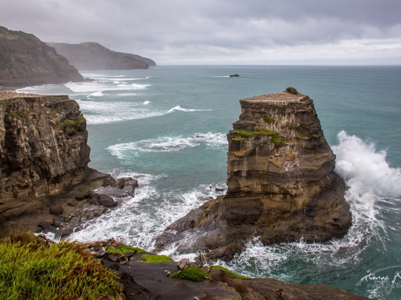 Muriwai Beach - Northland