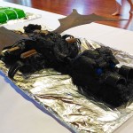 Concours de gateaux Ã  Bay of Islands