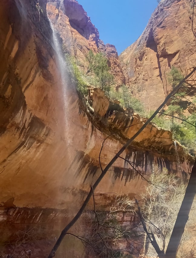 Zion National Park - Lower Emerald Pool